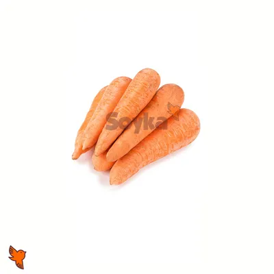 Вместе с луком и бархатцами: как сажать морковь, чтобы собрать хороший  урожай — Интернет-канал «TV Губерния»
