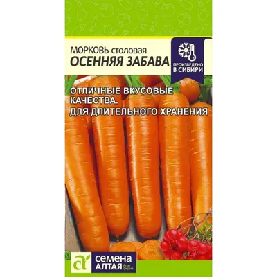 Почему морковь в Узбекистане резко подорожала – Новости Узбекистана –  Газета.uz