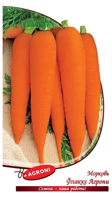 Морковь сушеная кусочки С.Пудовъ, 180 г — Купить по выгодной цене в  интернет-магазине С.Пудовъ