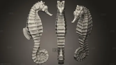 Декор для творчества металл, эмаль \"Морской конёк\" 1х2,6 см купить в Чите  Подвески в интернет-магазине Чита.дети (9406658)