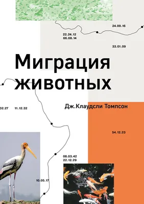 Проект «Почему поют птицы?» (6 фото). Воспитателям детских садов, школьным  учителям и педагогам - Маам.ру