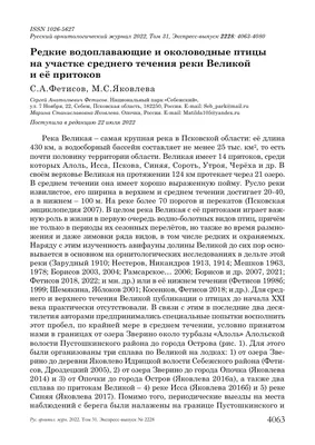 Ральф Пэйн-Галлоуэй. Водоплавающая дичь и стрельба ее из дробовиков и  гусятниц - Переулок оружейников - Вальнев Виктор - Переулок оружейников -  Вальнев Виктор