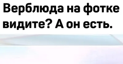 Найди верблюда - тест на уровень интеллекта - GoHa.Ru