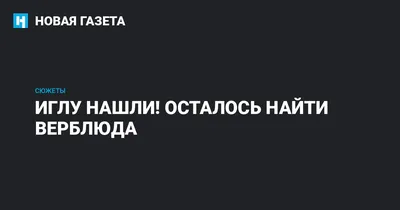 Кто этот верблюд: где и как живет тюменский Кеша, который снимался в фильме  и стал звездой YouTube - 2 марта 2018 - 72.ru