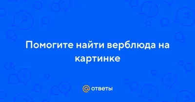 В пещере Шульган-Таш найдено еще одно изображение верблюда