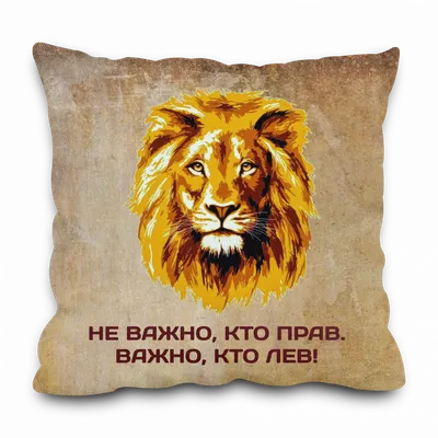 Abrikos - Не важно кто прав. Важно, кто лев !❤️ | Facebook