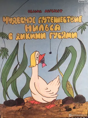 Ласточки низко летают – к дождю: Гидрометцентр проверил погодные приметы -  Новости Тулы и области - MySlo.ru