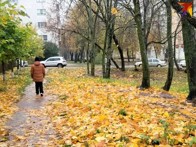 20 ноября отмечается Всемирный день детей – Новости – Окружное управление  социального развития (городского округа Домодедово)