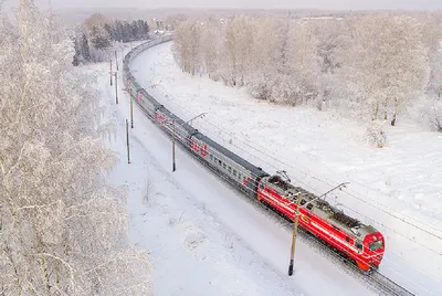 Новогодние поезда в московском метро: что о них известно и где покататься