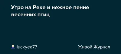 Весенний Бесшовный Узор Синими Птицами Птичьими Домиками Цветами Светло  Голубом Векторное изображение ©daniella.belaya 464571908