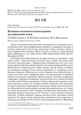 Обожаю запах весеннего воздуха... Можно непрерывно слушать пение птиц и  смотреть высоко в небо, о чем то… | Instagram