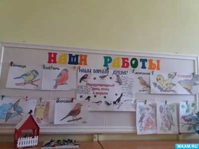 Утро на Реке и нежное пение весенних птиц