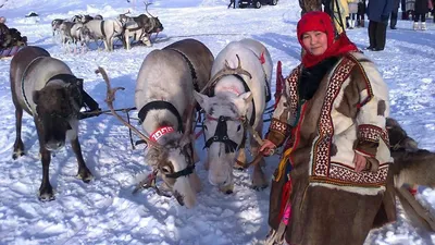 Покормите птиц зимой» конкурс завершён