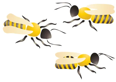 Wasp PNG transparent image download, size: 724x800px