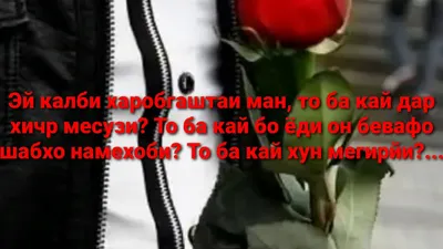 Мо ҷудо шудем🥺🥺🥺#рекоме #oshiqon #хиёнать💔💔💔💔 #хиёнат #бевафо #... |  TikTok