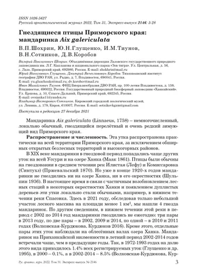 Пара птицы Galericulata экс птиц утки Mandarin латинской изначально,  которая живет в Восточной Азии в брачном весенний период в го Стоковое Фото  - изображение насчитывающей история, пары: 175807984