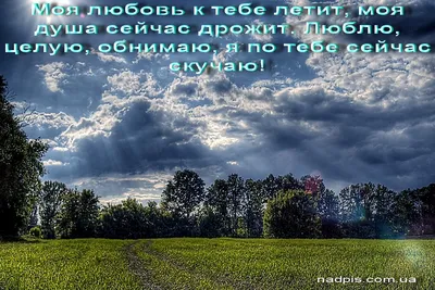 Картинки парню который нравится для настроения (39 фото) » Юмор, позитив и  много смешных картинок