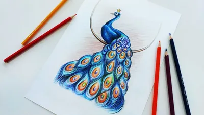 Ultimate Павлин раскраски для детей - GBcoloring