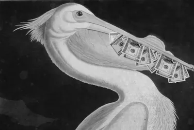 Денежный пеликан для денег на заставку - фото и картинки abrakadabra.fun