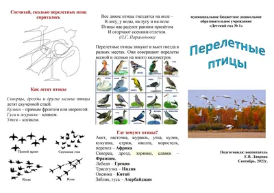 Издание буклета \"Птицы Среднего Урала\" | Planeta