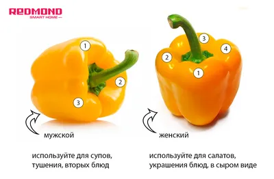 Перец, 1 кг купить в Минске: недорого в интернет-магазине Едоставка