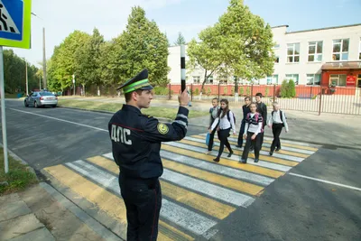 Пешеходный переход обустроили на Молодежной улице Подольска - Транспорт -  РИАМО в Подольске