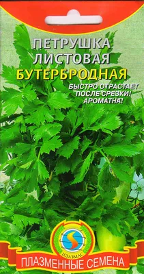 Семена зелени Петрушка кучерявая Петра купить в Украине | Веснодар