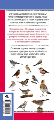 Певчие птицы. Обитатели лесов и полей Михаил Куценко - купить книгу Певчие  птицы. Обитатели лесов и полей в Минске — Издательство Эксмо на OZ.by