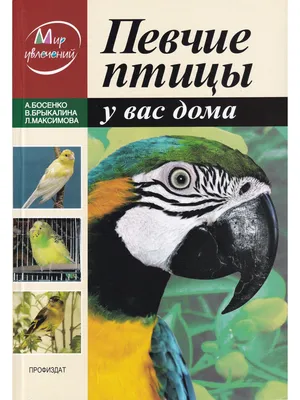 Иллюстрация 1 из 28 для Певчие птицы. Энциклопедия - Митителло, Хромушин |  Лабиринт - книги. Источник: Лабиринт