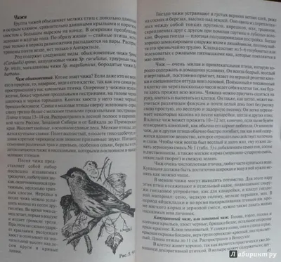 Певчие птицы. Энциклопедия. Ксения Митителло, Олег Хромушин - «Энциклопедия  с самыми красивыми фотографиями птиц! Теперь и в обычной жизни я с  интересом наблюдаю за пернатыми♥ » | отзывы