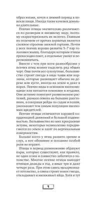 Птичий рай на кладбищах»: в Новосибирске запели ночные соловьи и камышовки  - KP.RU