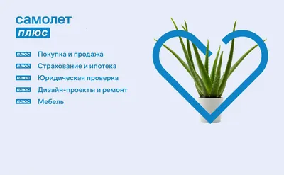 Недвижимость в Москве и Московской области – продажа и аренда квартир |  Самолет Плюс