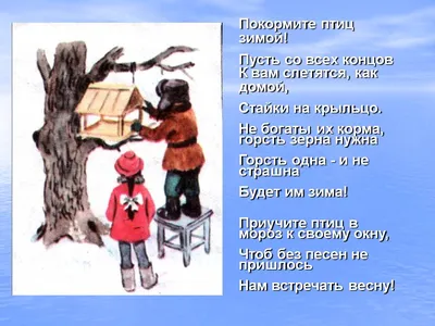 Стартует общероссийская культурно-экологическая акция «Покормите птиц!» |  Русское географическое общество