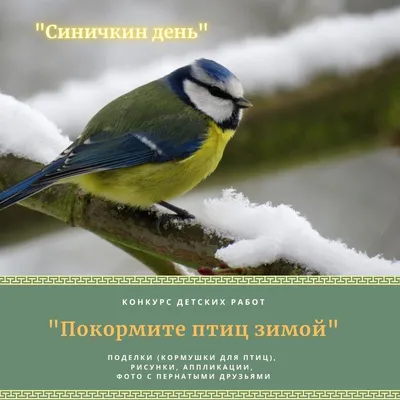 АКЦИЯ “ПОКОРМИТЕ ПТИЦ ЗИМОЙ” – Центр детского творчества