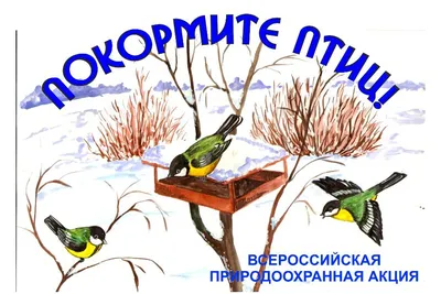 Лучики: Покормите птиц зимой!