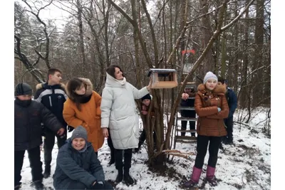 Акция «Покормите птиц зимой» в подготовительной к школе группе для детей  6–7 лет с ТНР (9 фото). Воспитателям детских садов, школьным учителям и  педагогам - Маам.ру