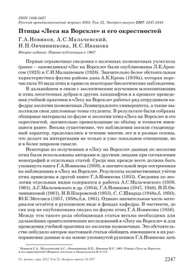 изображение кистнутхедовидной птицы меропа лешенаульти, летящего на белом  фоне. птицы. животные Стоковое Фото - изображение насчитывающей  изображение, тварь: 234008582