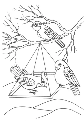 Challenge-km-shop: Задание №127 \"Покормите птиц зимой!\" - до 18.03