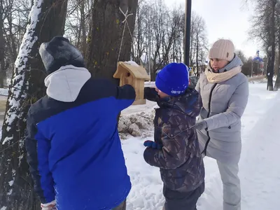 Подведены итоги конкурса «Рисуем зимующих птиц», проведённого в рамках  ежегодной Всероссийской акции «Покормите птиц» - Сайт национального парка  \"Смоленское поозерье\"