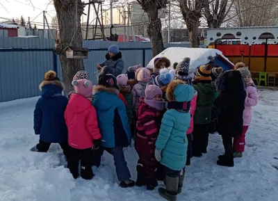 Покормите птиц зимой! | Пикабу