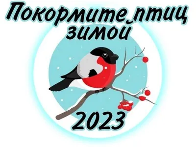 Акция \"Покормите птиц зимой\" проходит в Калужской области