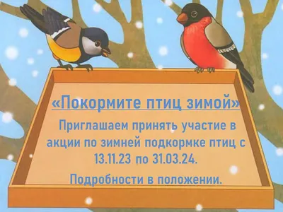 Покормите птиц! - Приокско-Террасный государственный природный биосферный  заповедник