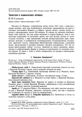 Совариум, Сочи, Красная поляна, ГТЦ \"Газпром\" - «Совы! Орлы, Ястребы,  Филины - гордые, красивые птицы. Подержать сову на руках - желание сбылось.  Эмоции били через край» | отзывы