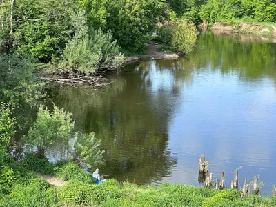 Картина масло холст Журавли на поляне (пейзаж, зеленый, голубой), в  интернет-магазине Ярмарка Мастеров по цене 12750 ₽ – LG2N6BY | Картины,  Смоленск - доставка по России