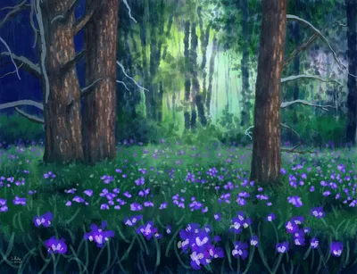 Цветочная Поляна в лесу - красивые фото