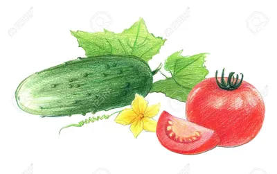 помидор PNG , помидор PNG , томатный сок, сок PNG картинки и пнг рисунок  для бесплатной загрузки
