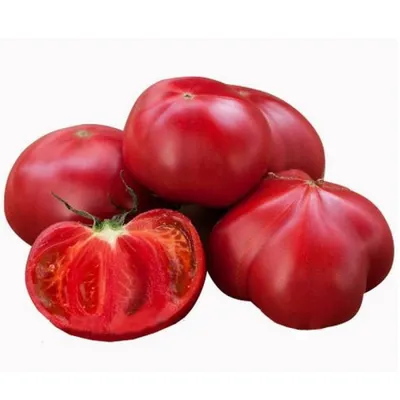 Дополнительный помидор - купить по выгодной цене | Бургер Клаб Доставка