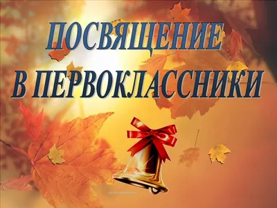 В грязинской школе №4 состоялось «Посвящение в первоклассники» » Первый  Грязинский Портал