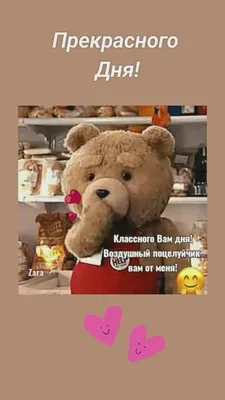 💛🐻💛 . Поцелуйчик от Топтыжки 😊 . Девушка на фотосъемке меня просто не  замечала 😊, она пришла за общением с мишкой))), мы сделали классные… |  Instagram