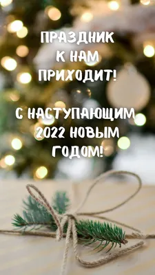 С Новым годом 2023 - стихи, проза, картинки — УНИАН